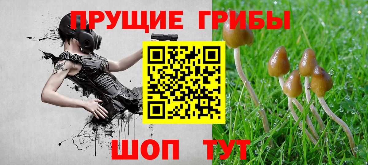 Псилоцибиновые грибы мицелий Михайловск
